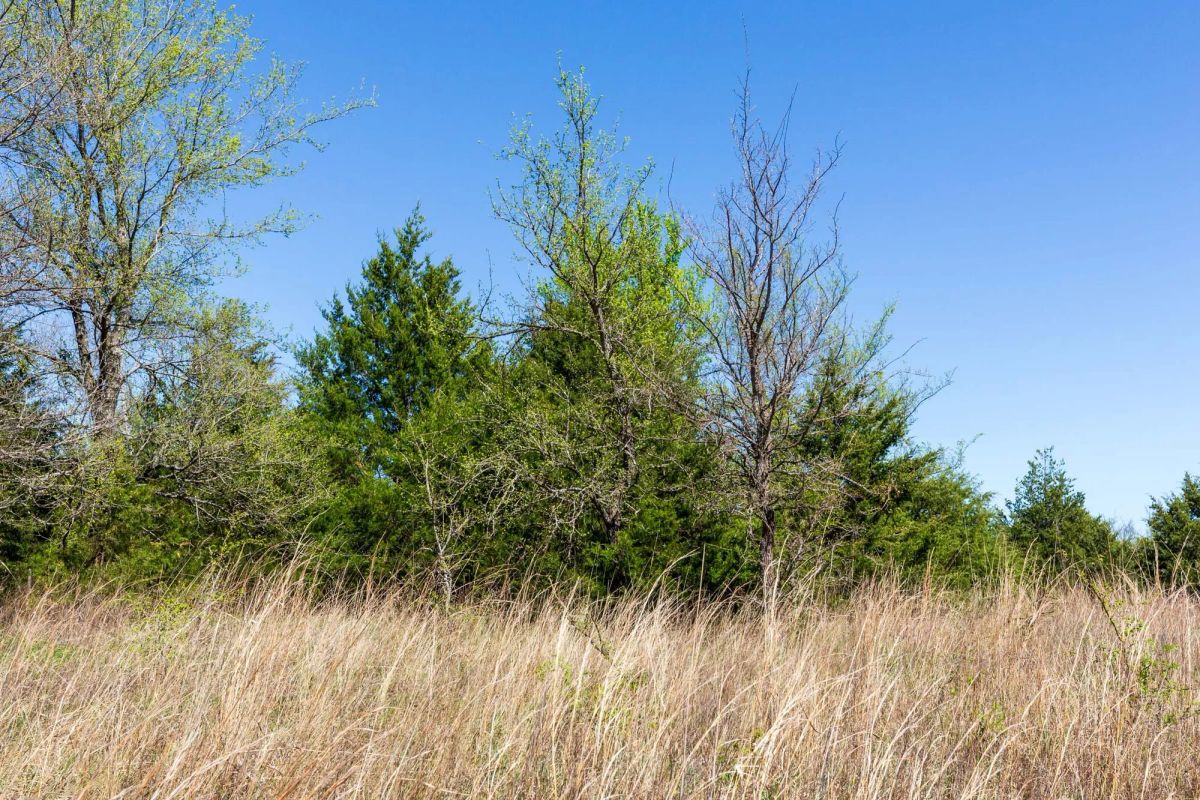 Decorative background for Prairie Grove Tract 12 image 6