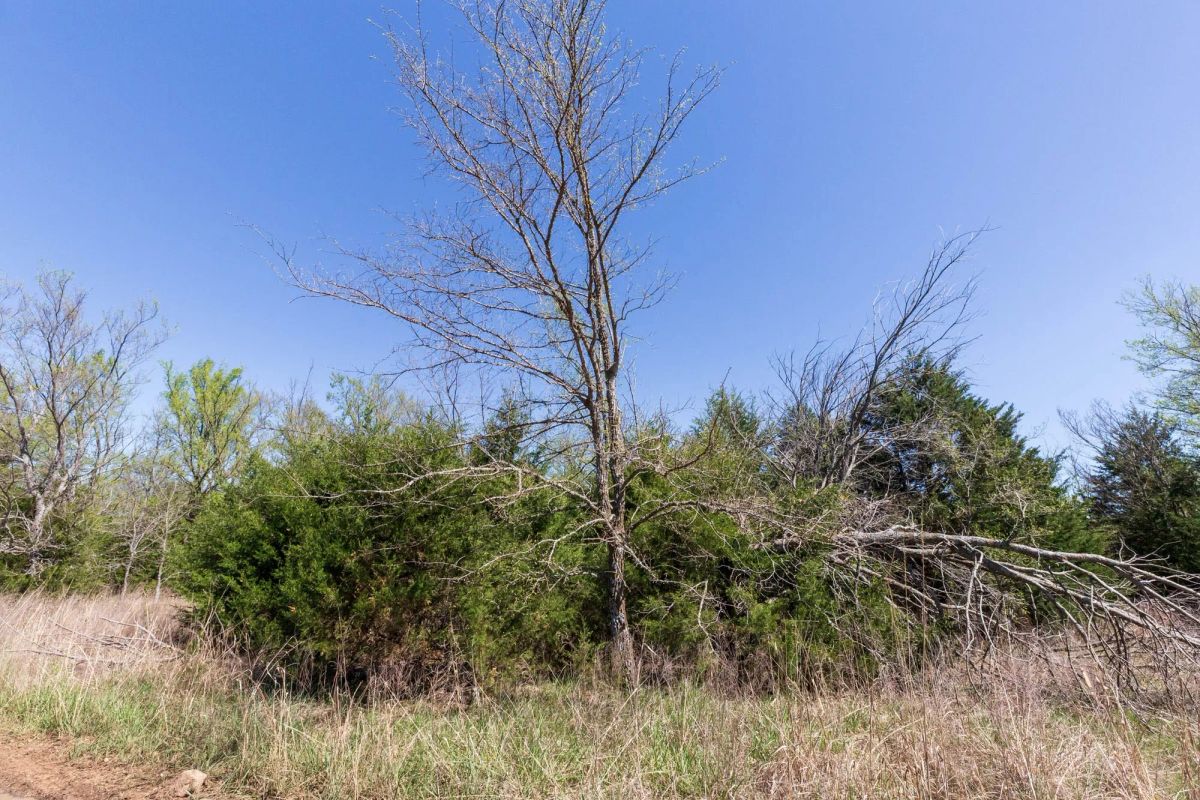 Decorative background for Prairie Grove Tract 12 image 9