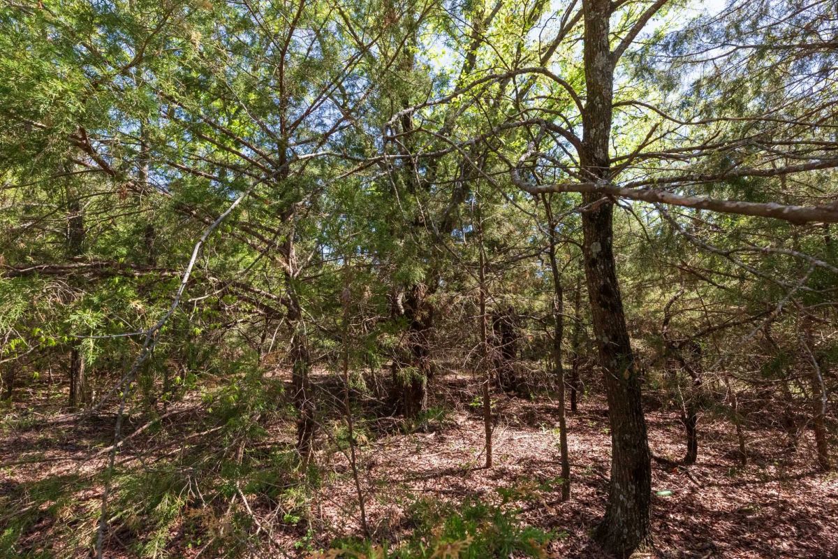 Decorative background for Prairie Grove Tract 12 image 10