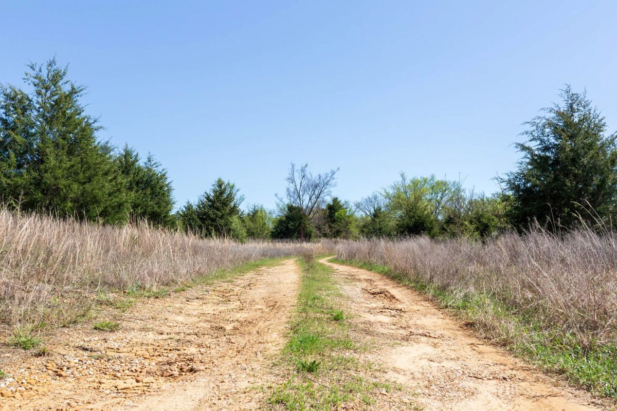 Decorative background for Prairie Grove Tract 12 image 11
