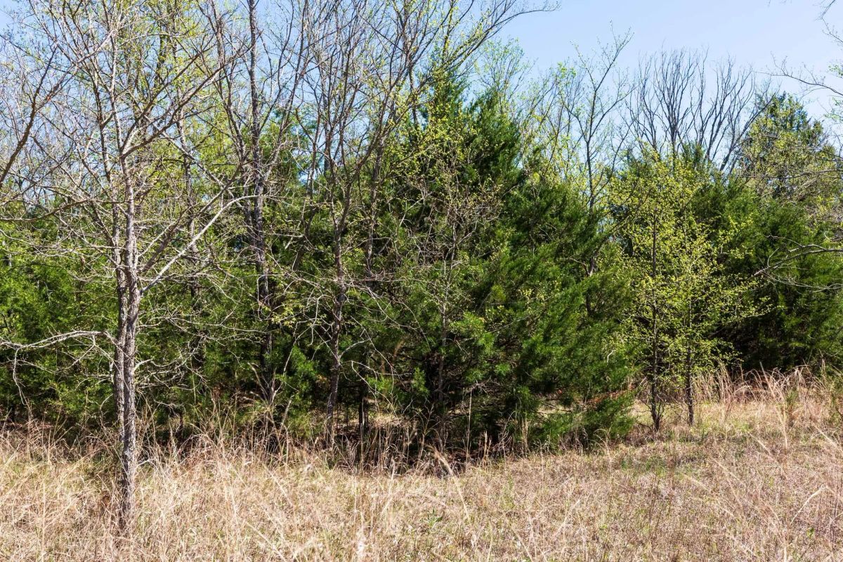 Decorative background for Prairie Grove Tract 12 image 13