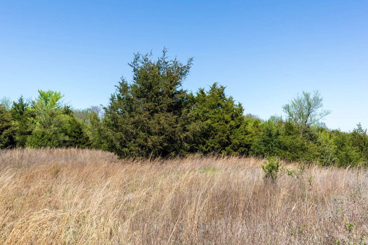 Decorative background for Prairie Grove Tract 12 image 19