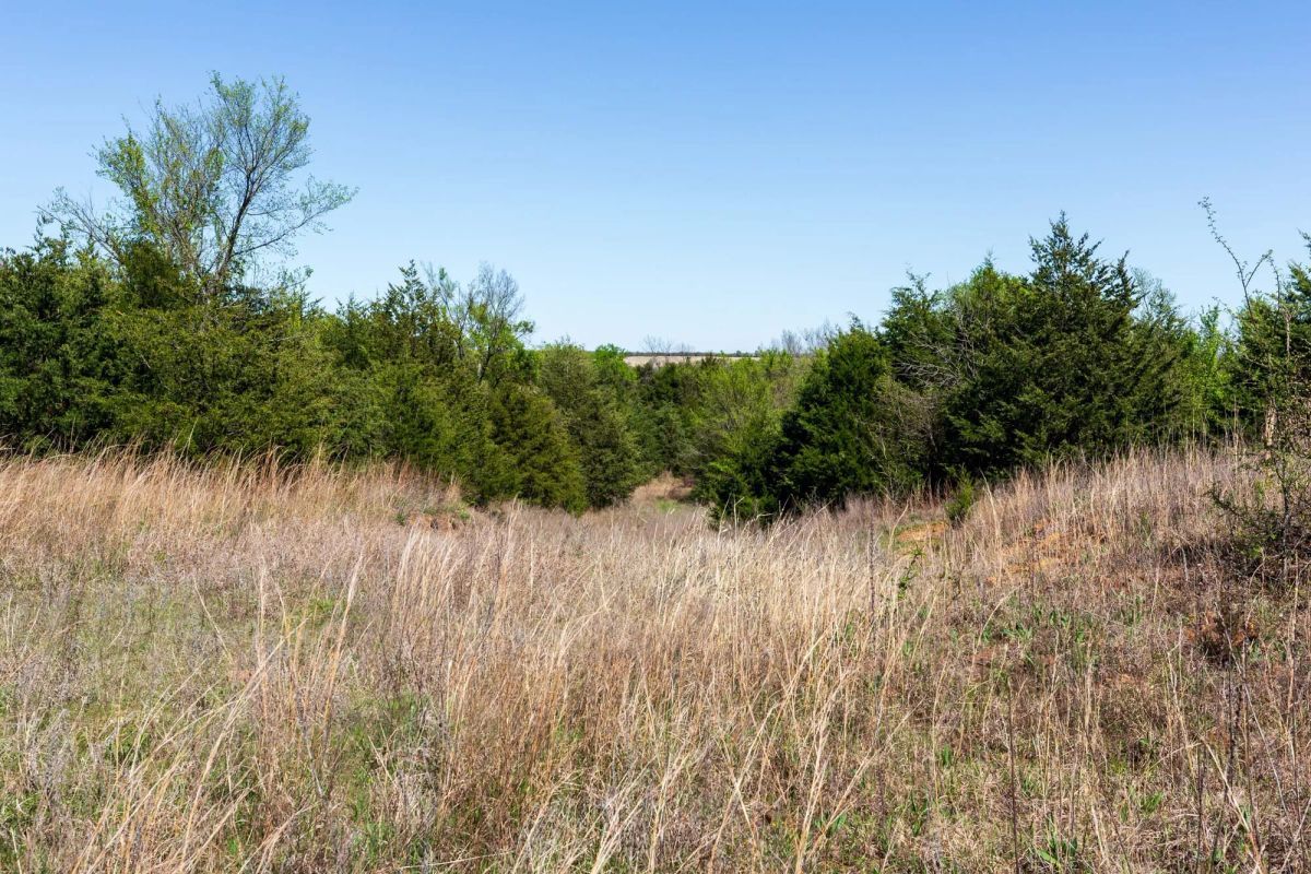 Decorative background for Prairie Grove Tract 12 image 20