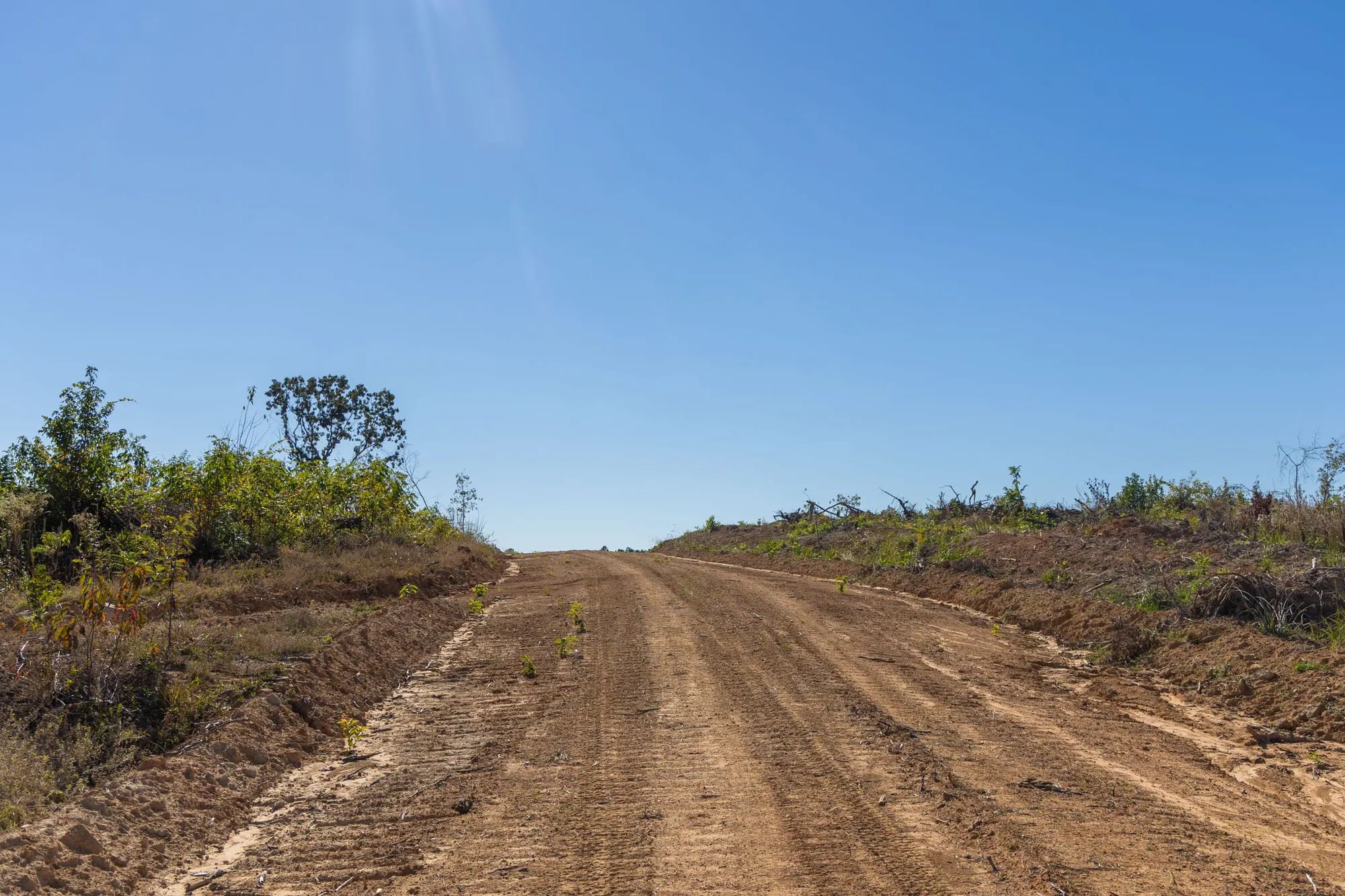 Meyer’s Ridge Tract 37 in Attala County, MS