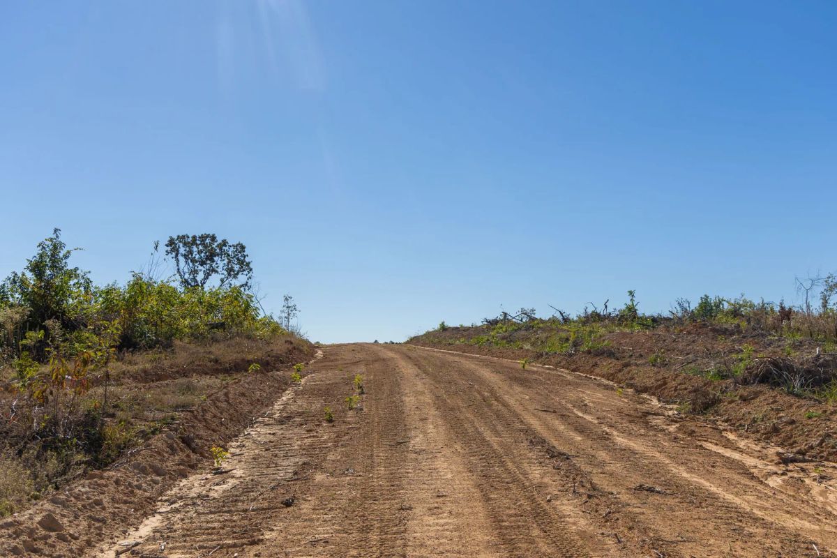Meyer’s Ridge Tract 37 - Image 2