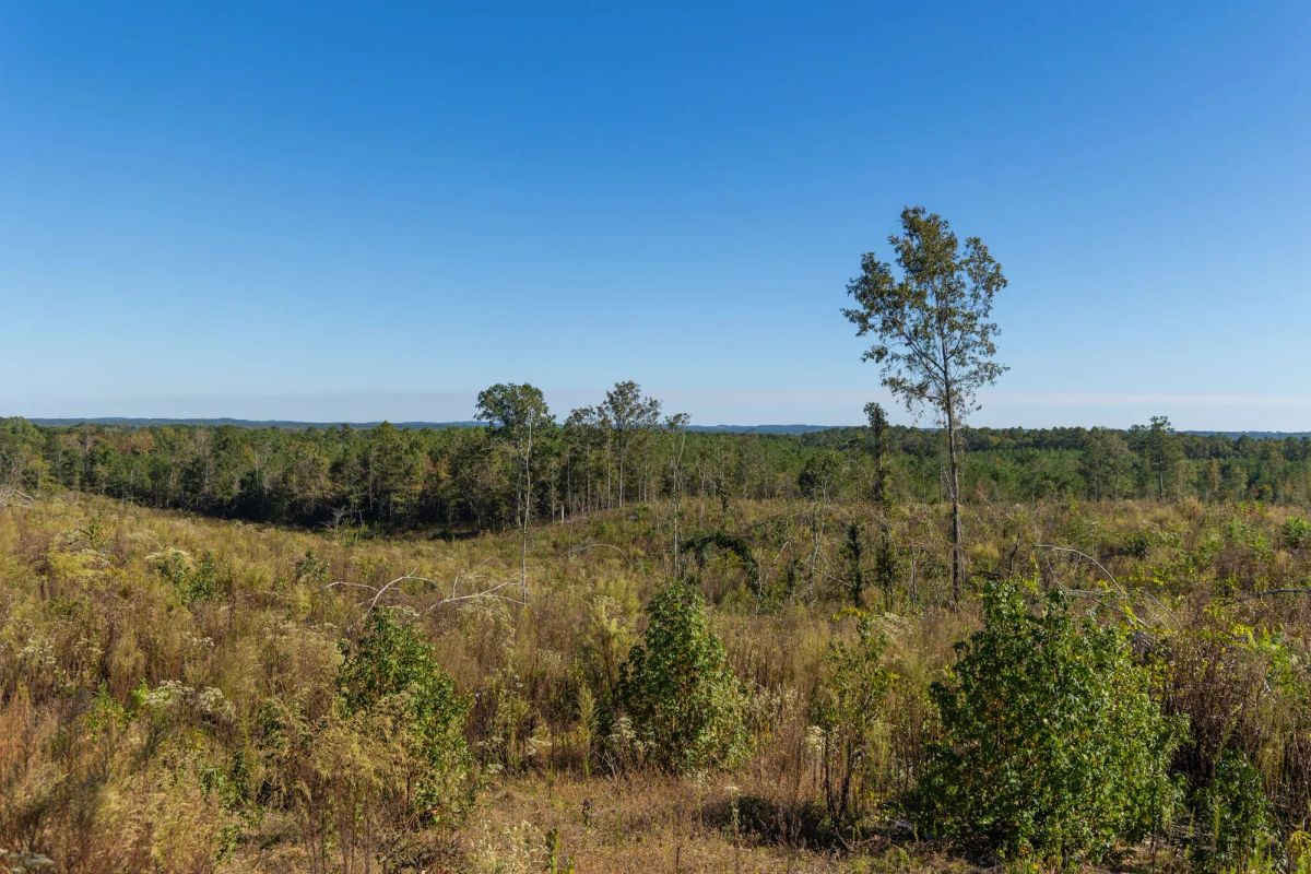 Meyer’s Ridge Tract 37 - Image 3