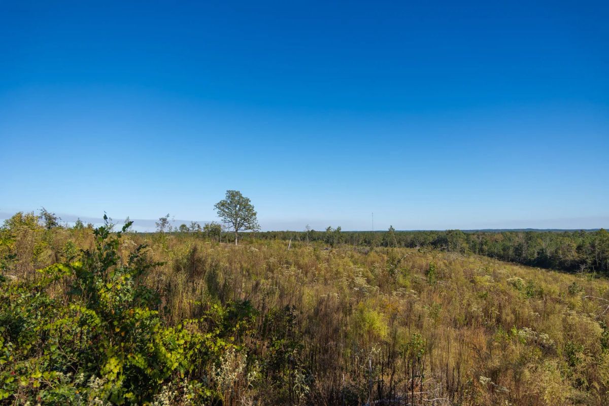 Decorative background for Meyer’s Ridge Tract 37 image 6