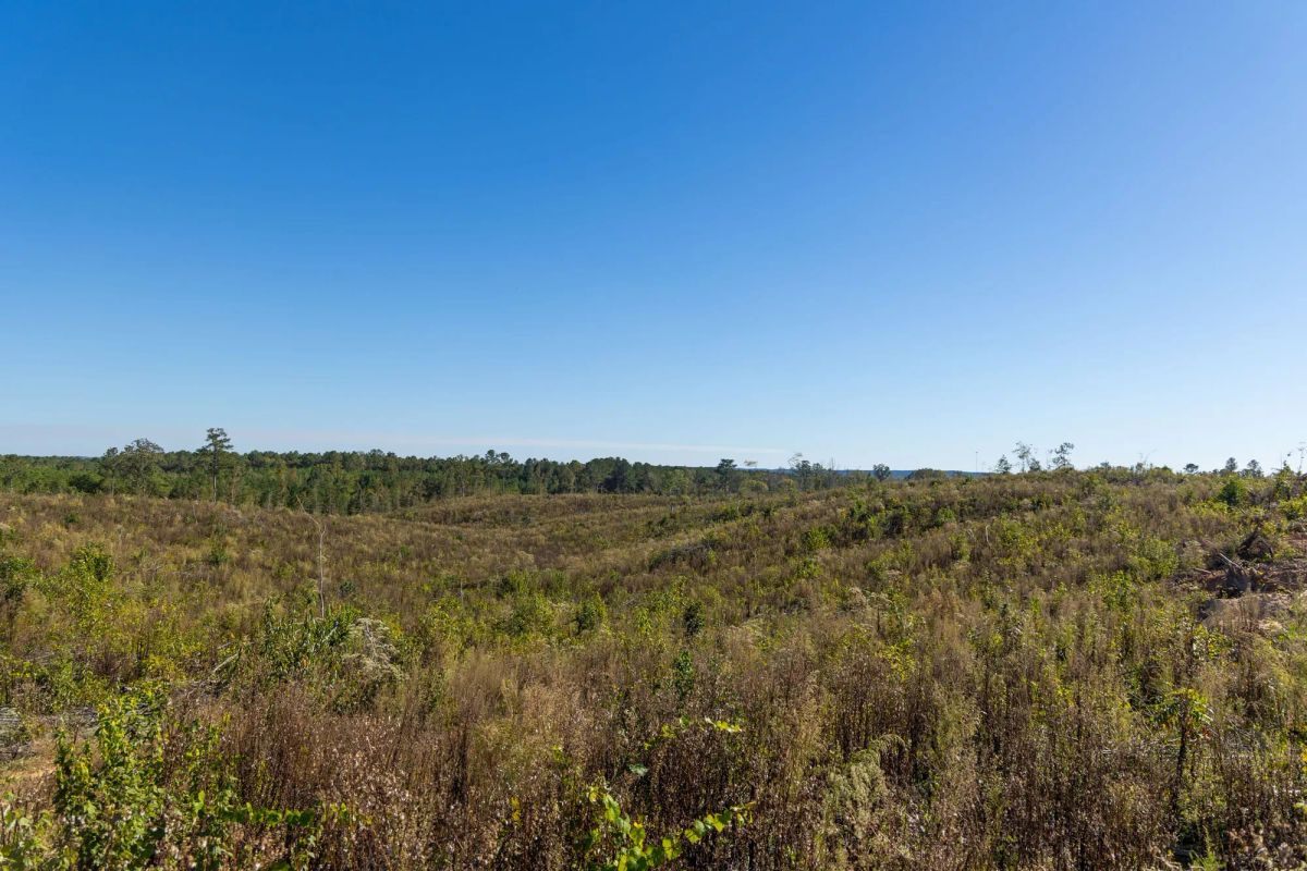 Decorative background for Meyer’s Ridge Tract 37 image 8