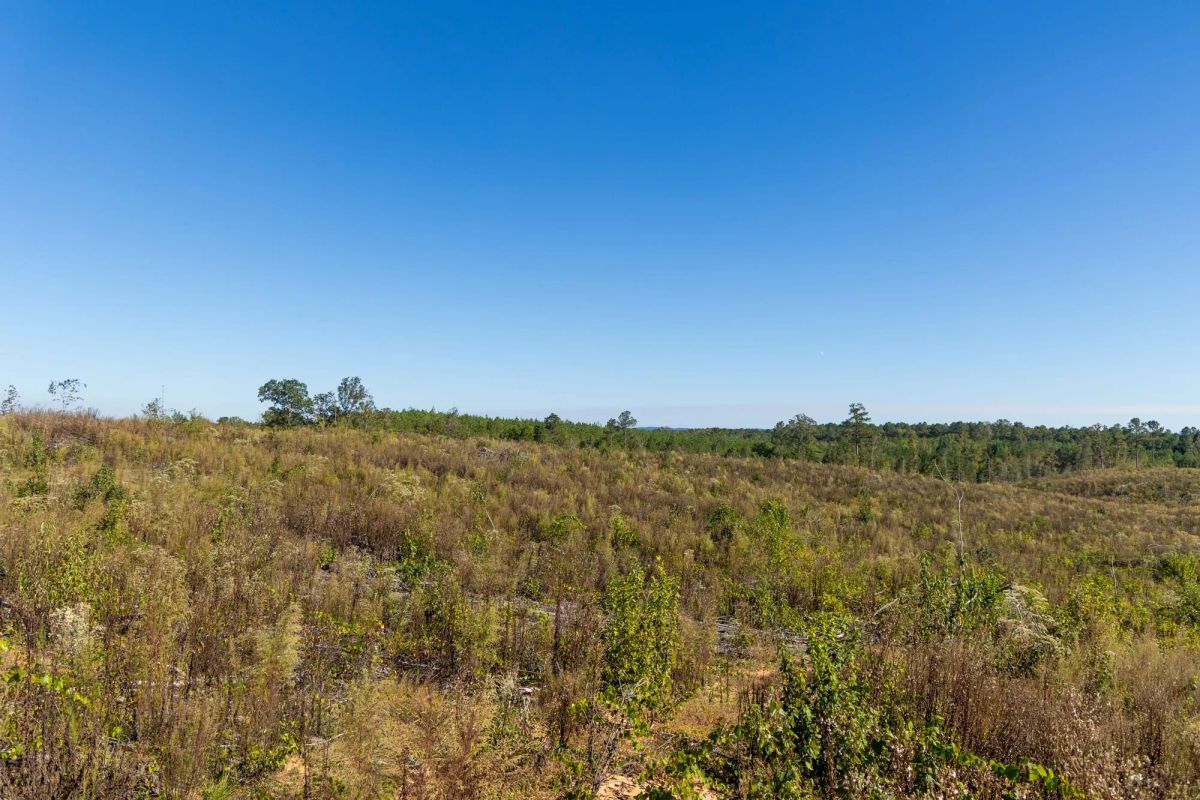 Decorative background for Meyer’s Ridge Tract 37 image 10