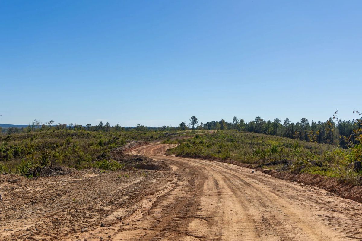 Decorative background for Meyer’s Ridge Tract 37 image 11