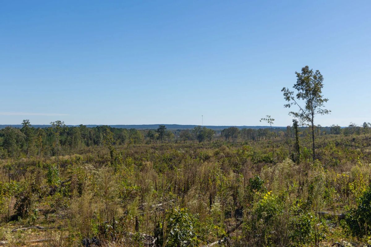 Decorative background for Meyer’s Ridge Tract 37 image 12