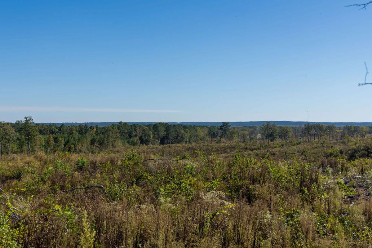 Decorative background for Meyer’s Ridge Tract 37 image 13