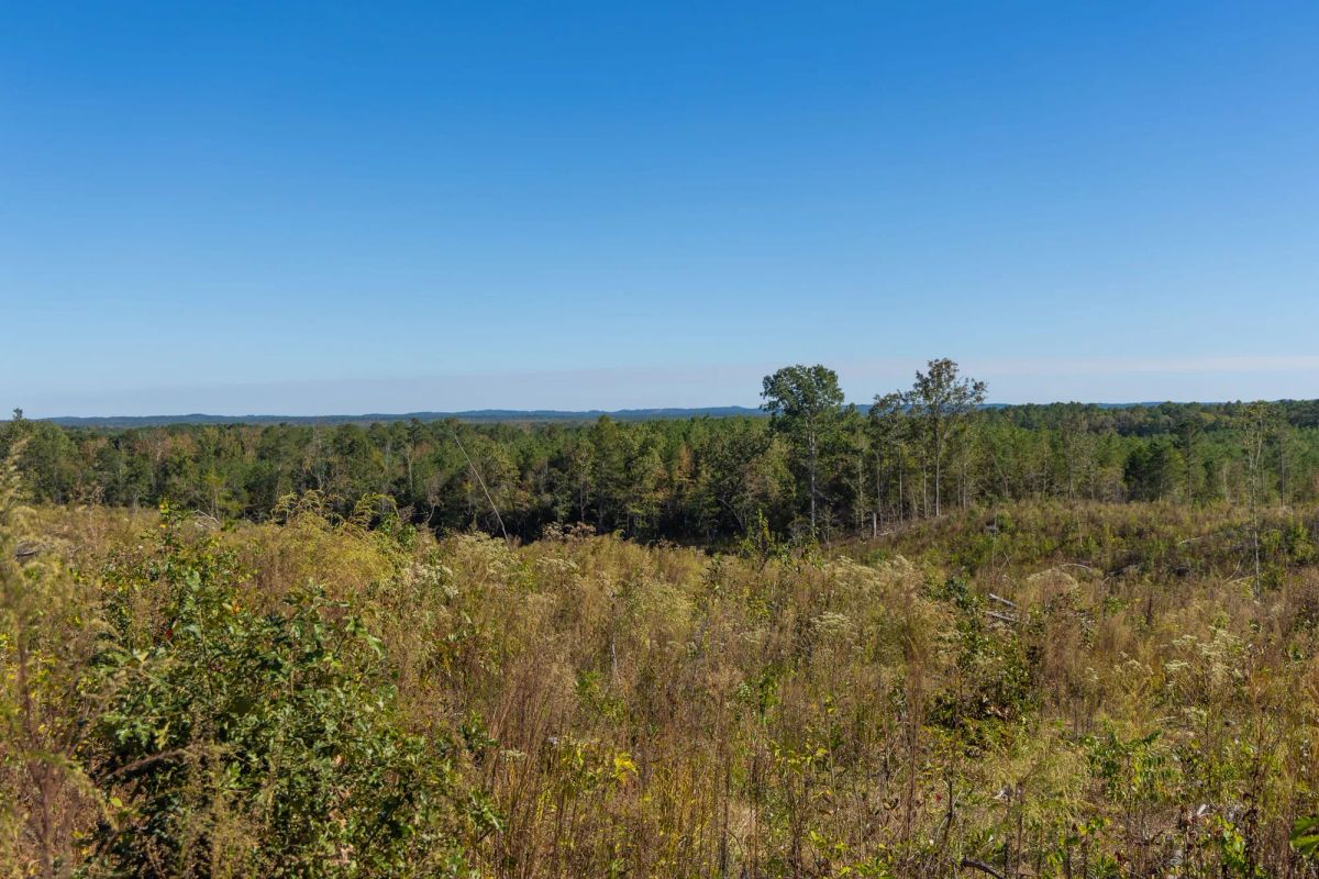 Decorative background for Meyer’s Ridge Tract 37 image 14