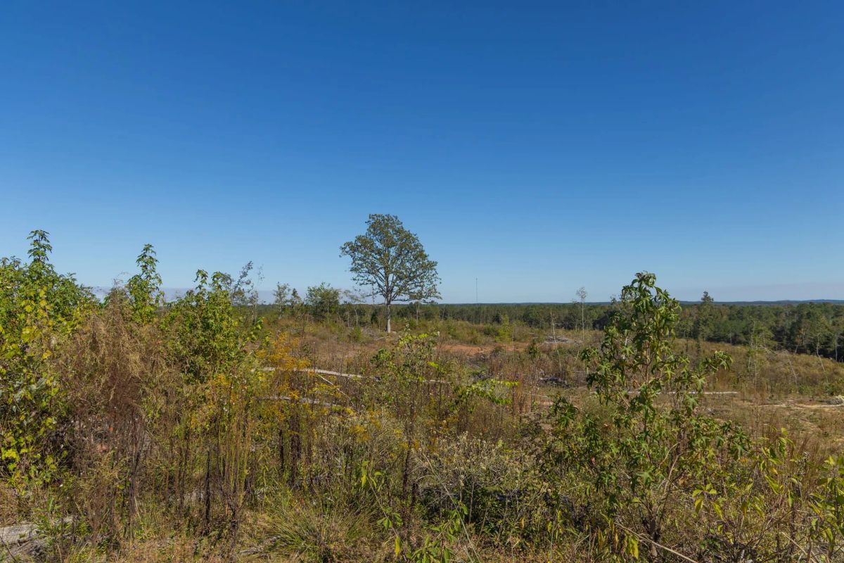Decorative background for Meyer’s Ridge Tract 37 image 15
