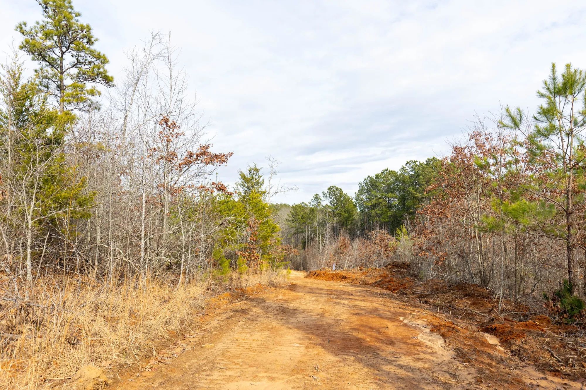 Baker Creek Tract 7 in Fayette County, AL