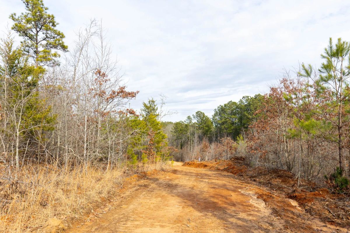 Baker Creek Tract 7 - Main image