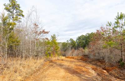 Baker Creek Tract 7