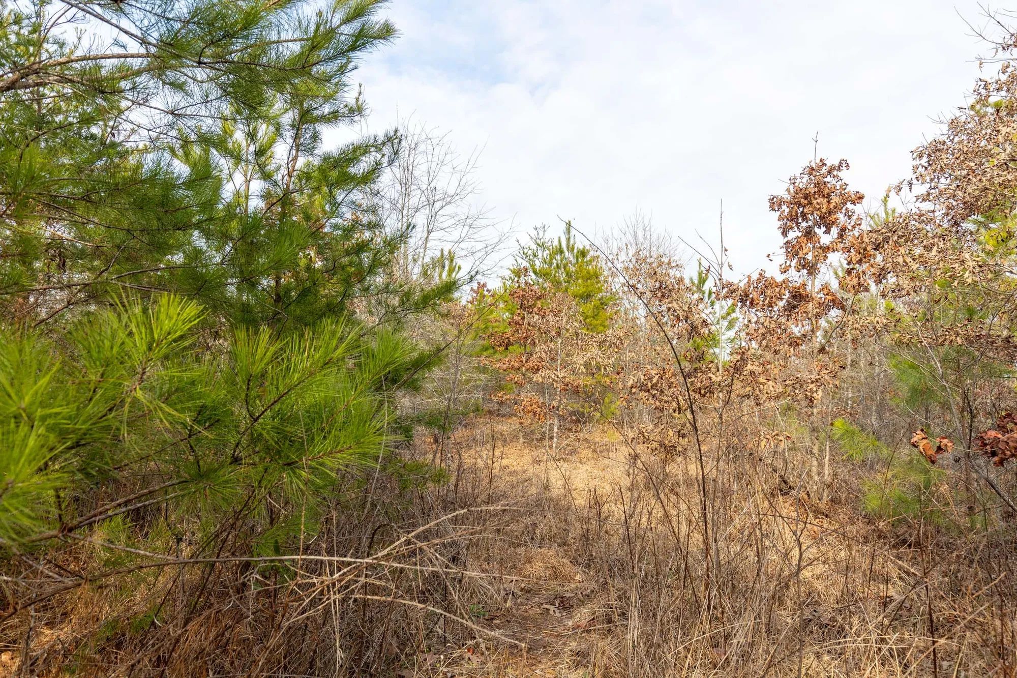 Baker Creek Tract 7 in Fayette County, AL