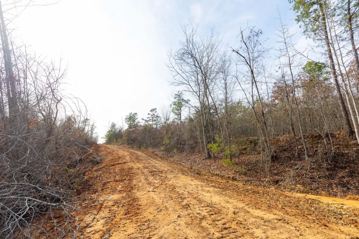 Decorative background for Baker Creek Tract 7 image 6