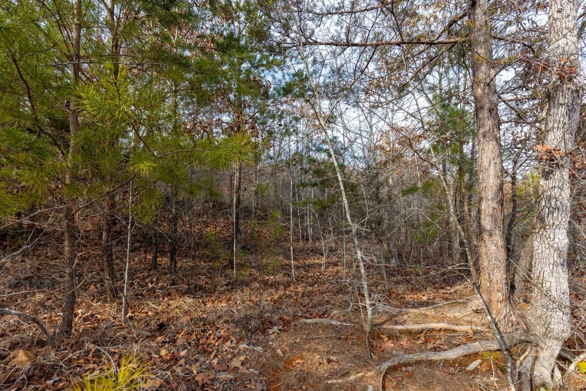 Decorative background for Baker Creek Tract 7 image 7
