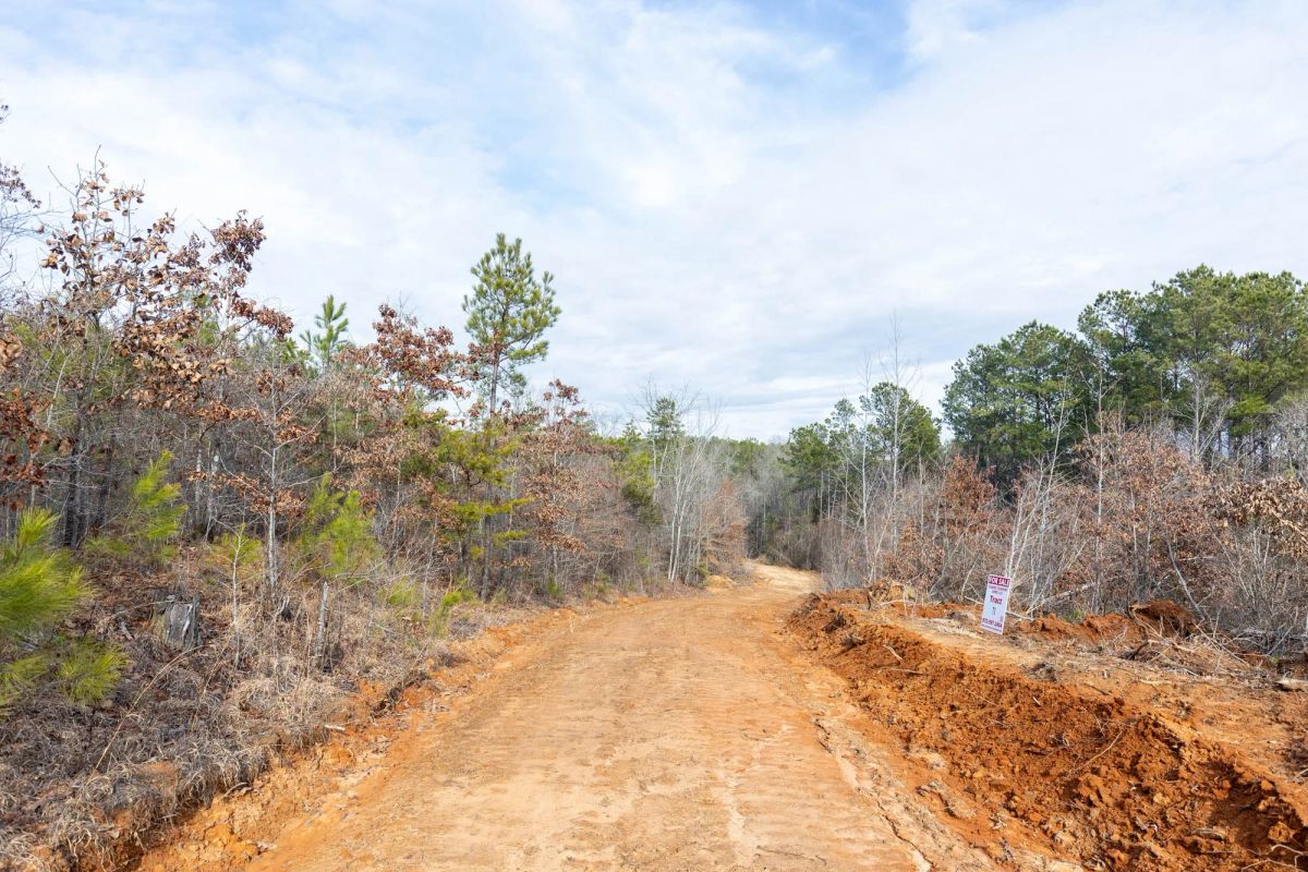 Decorative background for Baker Creek Tract 7 image 8