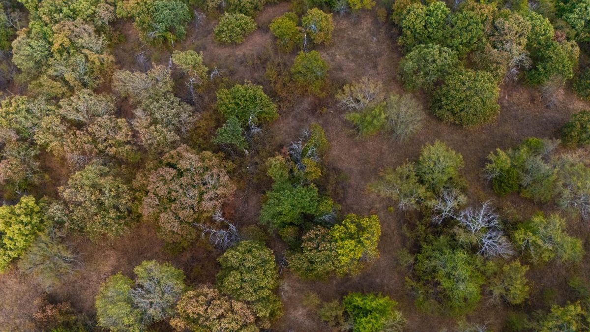 Gracyn Meadows Tract 16 - Main image