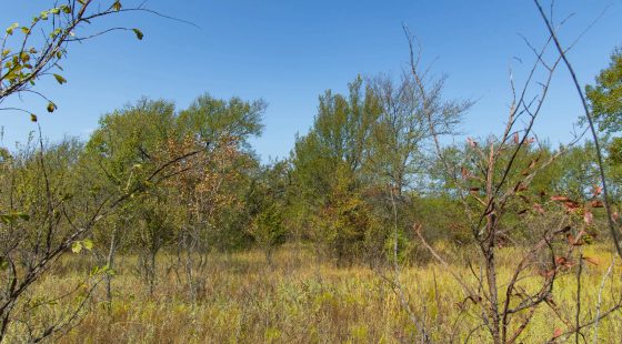 Gracyn Meadows Tract 16 in Okfuskee County, OK