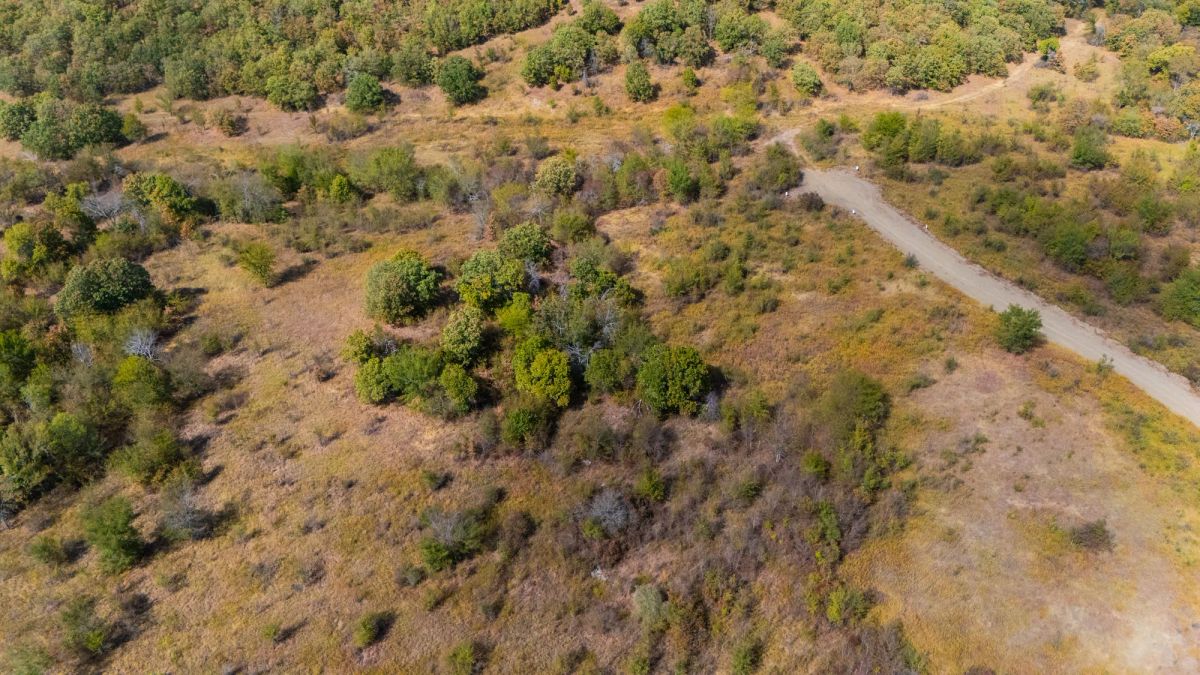 Decorative background for Gracyn Meadows Tract 16 image 7
