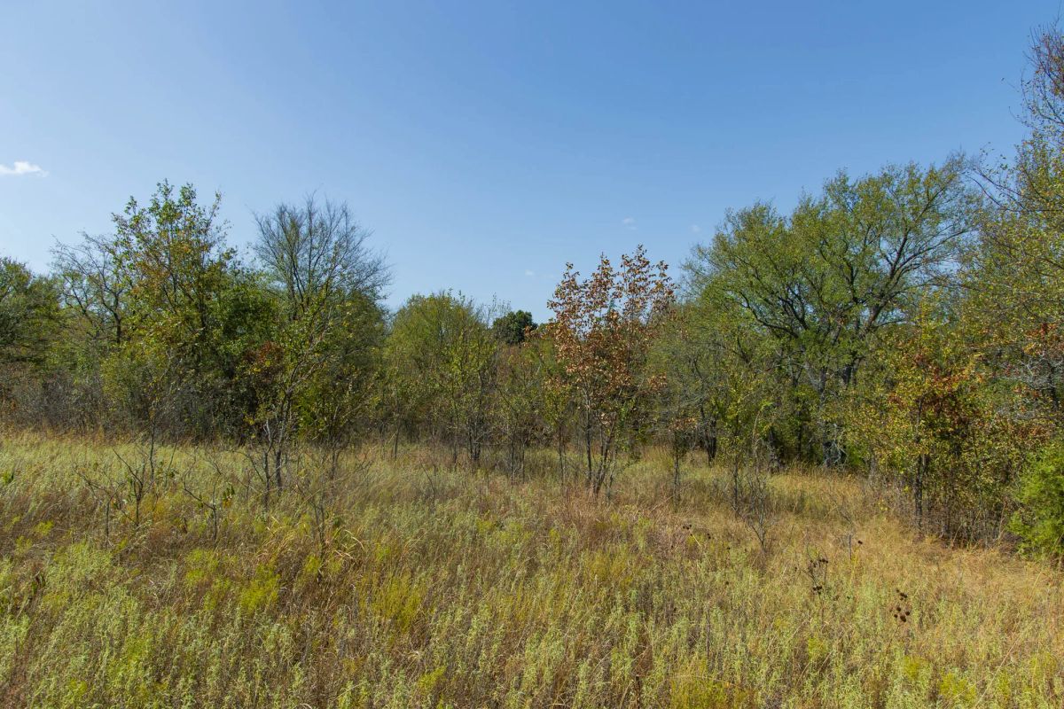 Decorative background for Gracyn Meadows Tract 16 image 10