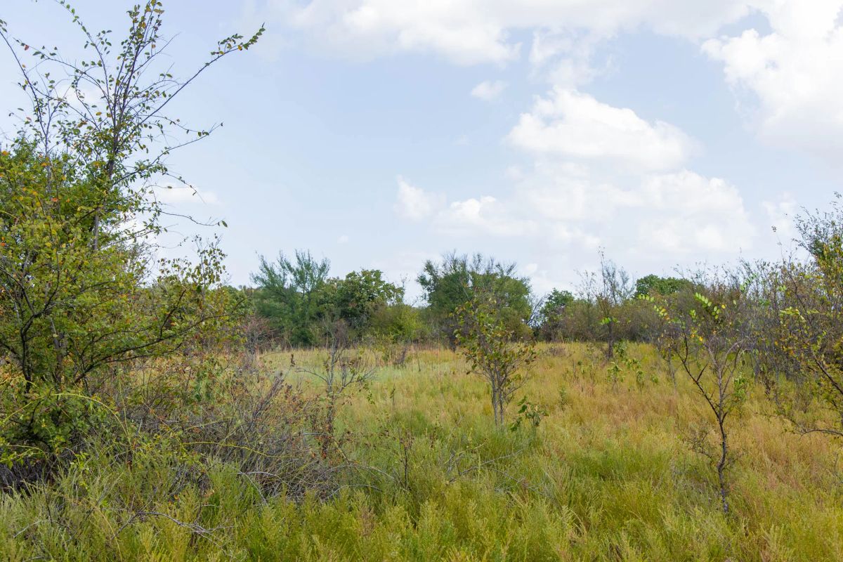 Decorative background for Gracyn Meadows Tract 16 image 14