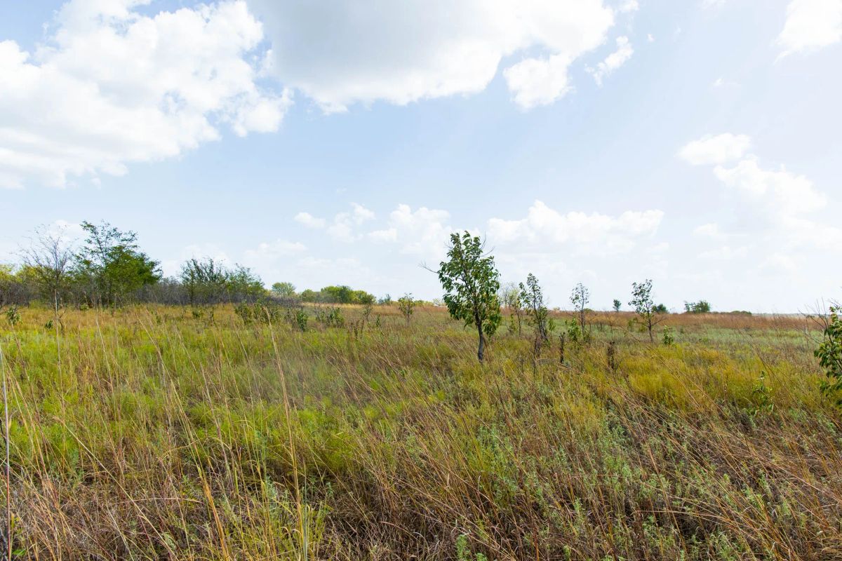 Decorative background for Gracyn Meadows Tract 16 image 15