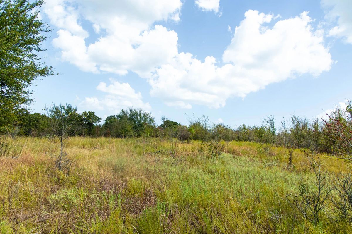 Decorative background for Gracyn Meadows Tract 16 image 17
