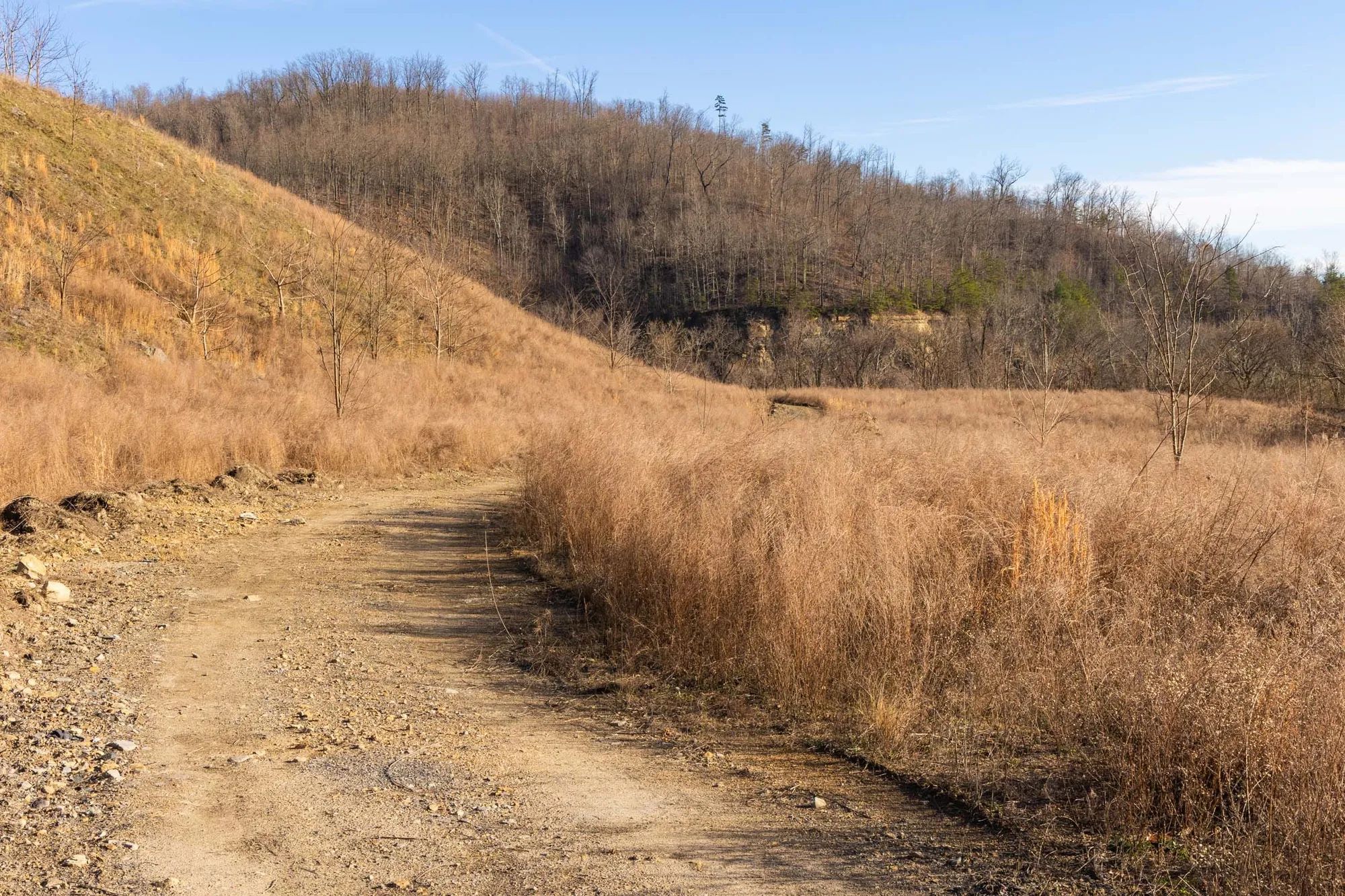 Jade Pass Tract 35 in Whitley County, KY