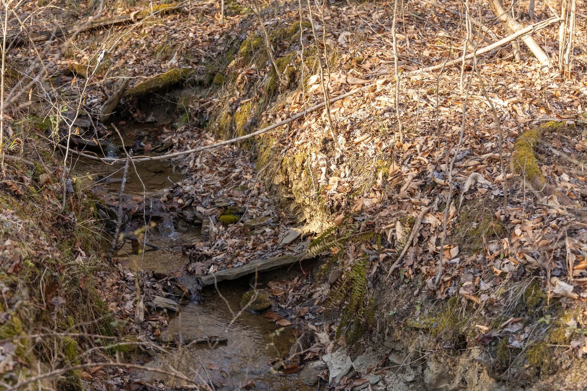 Jade Pass Tract 35 in Whitley County, KY