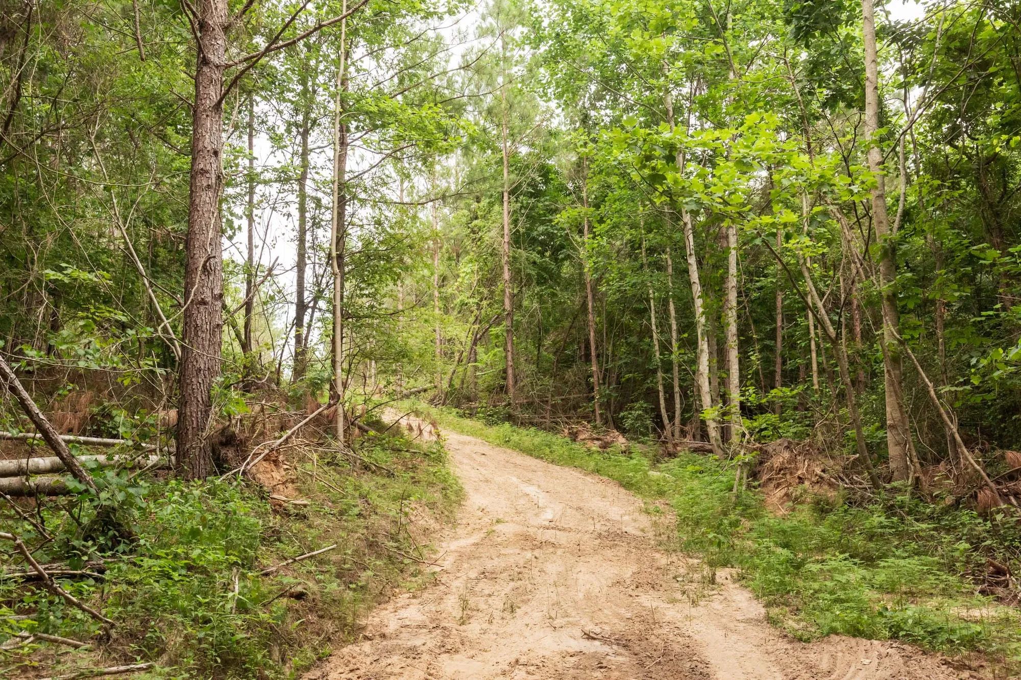 Whiskey Ridge Tract 93 in Henderson County, TN