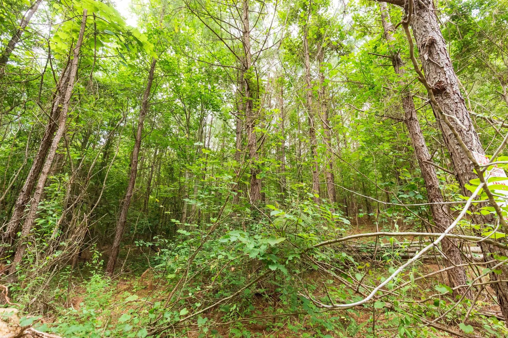 Whiskey Ridge Tract 93 in Henderson County, TN