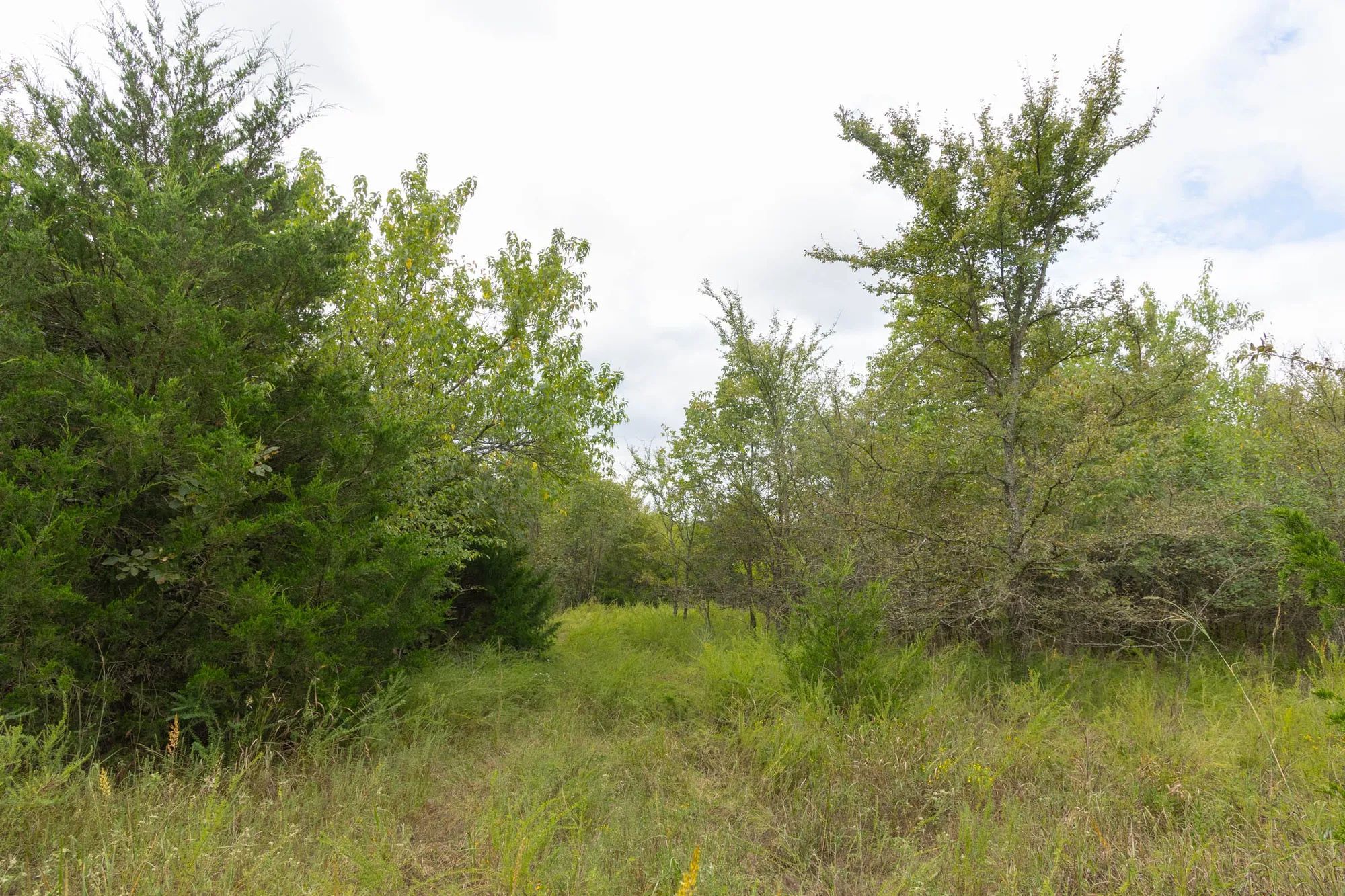 Reserves At Cattail Cove Phase II Tract 86 in Pittsburg County, OK