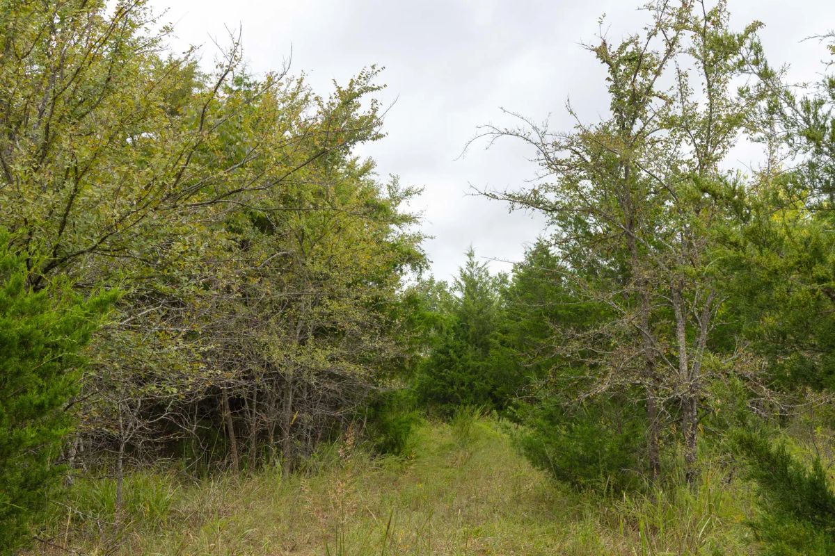 Decorative background for Reserves At Cattail Cove Phase II Tract 86 image 5