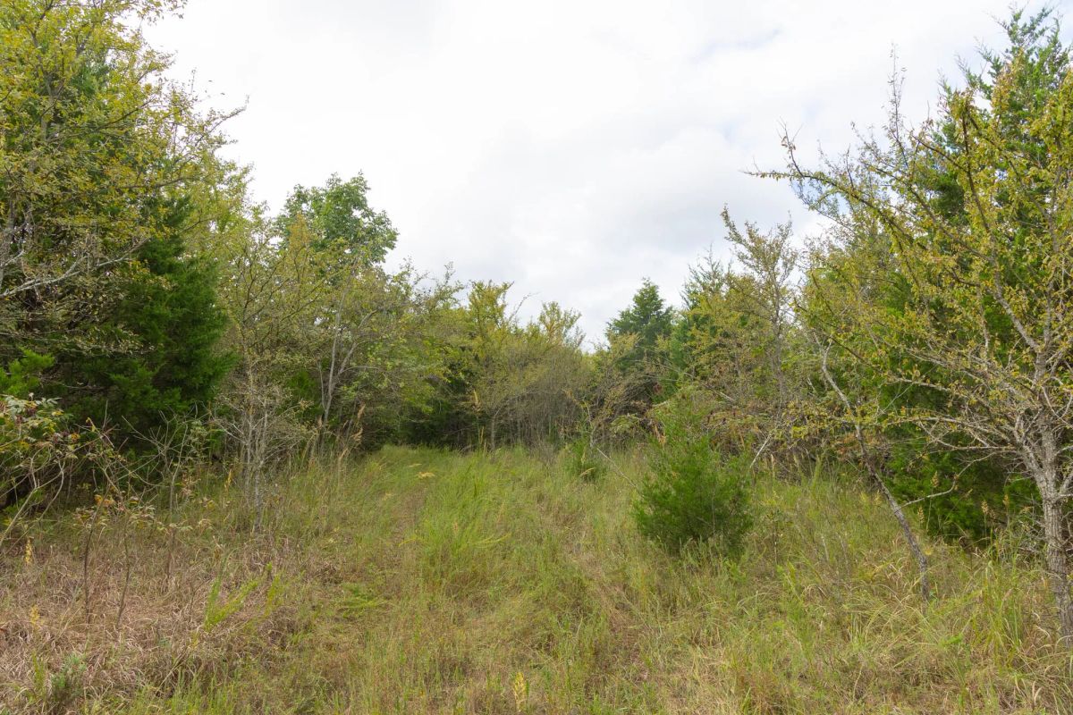 Decorative background for Reserves At Cattail Cove Phase II Tract 86 image 10