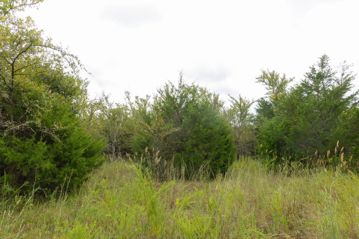 Decorative background for Reserves At Cattail Cove Phase II Tract 86 image 11