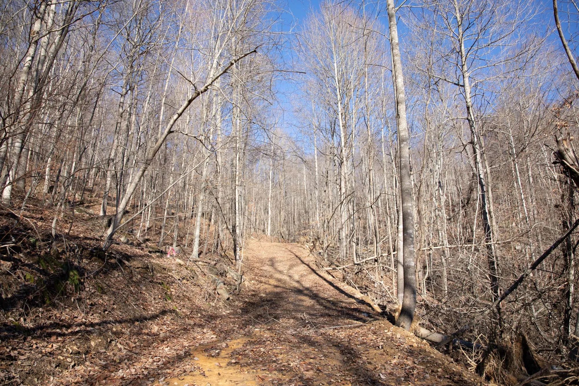 Blackstone Mountain Phase I Tract 48 in Clay County, KY