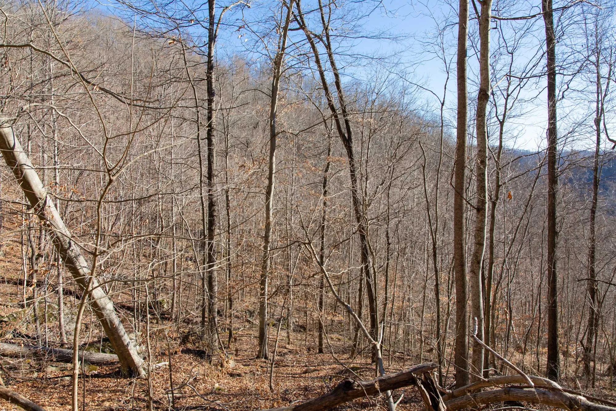 Blackstone Mountain Phase I Tract 48 in Clay County, KY