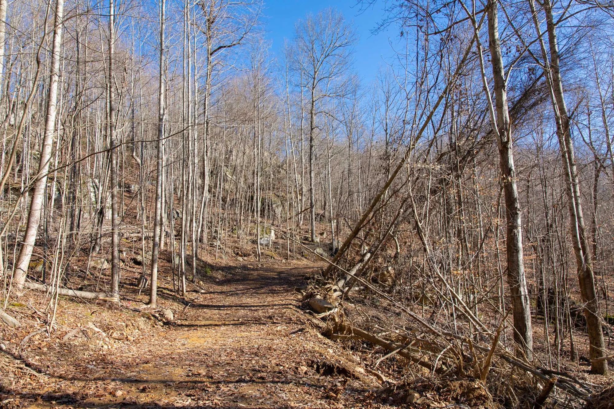Blackstone Mountain Phase I Tract 48 in Clay County, KY