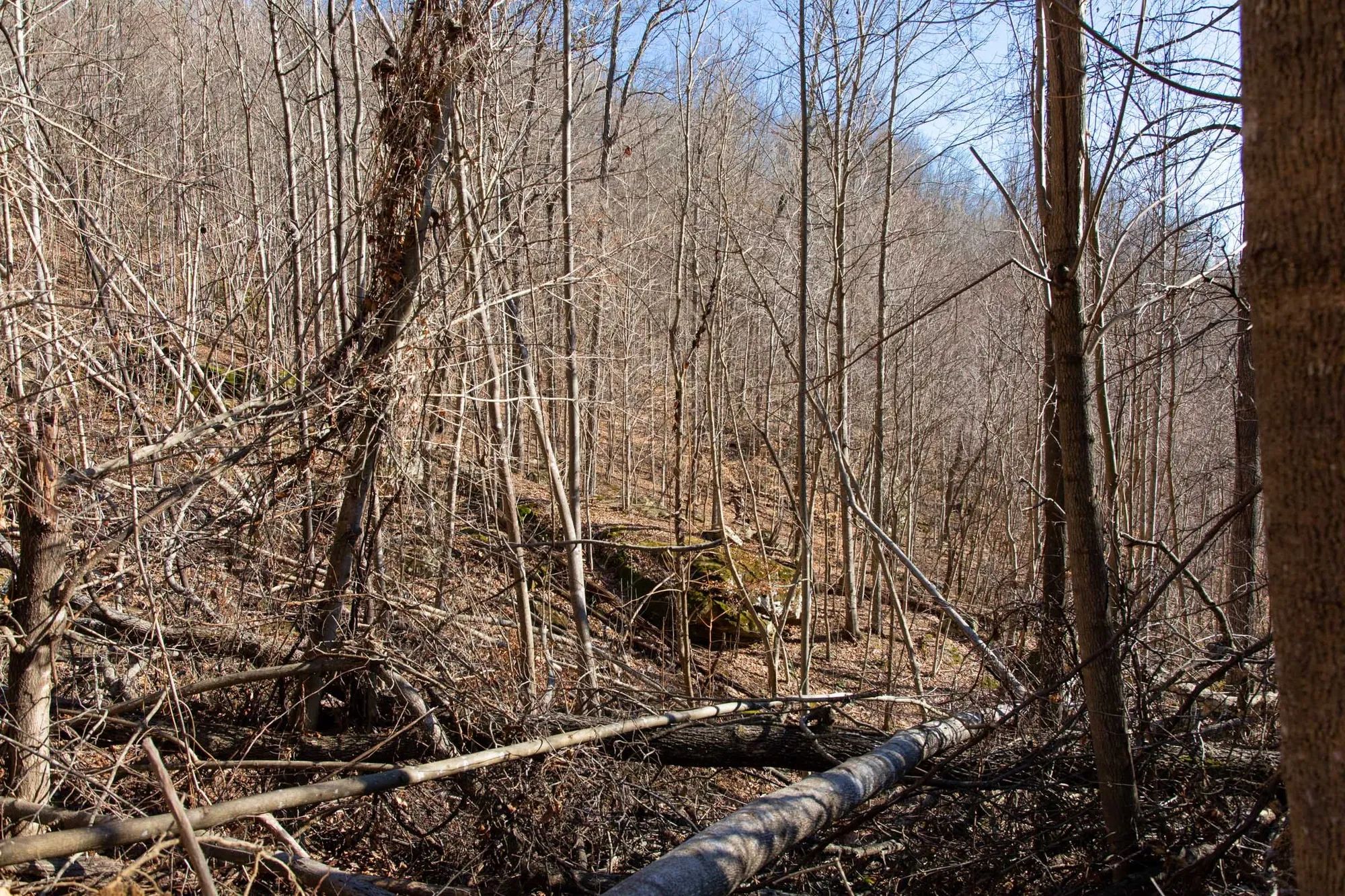 Blackstone Mountain Phase I Tract 48 in Clay County, KY