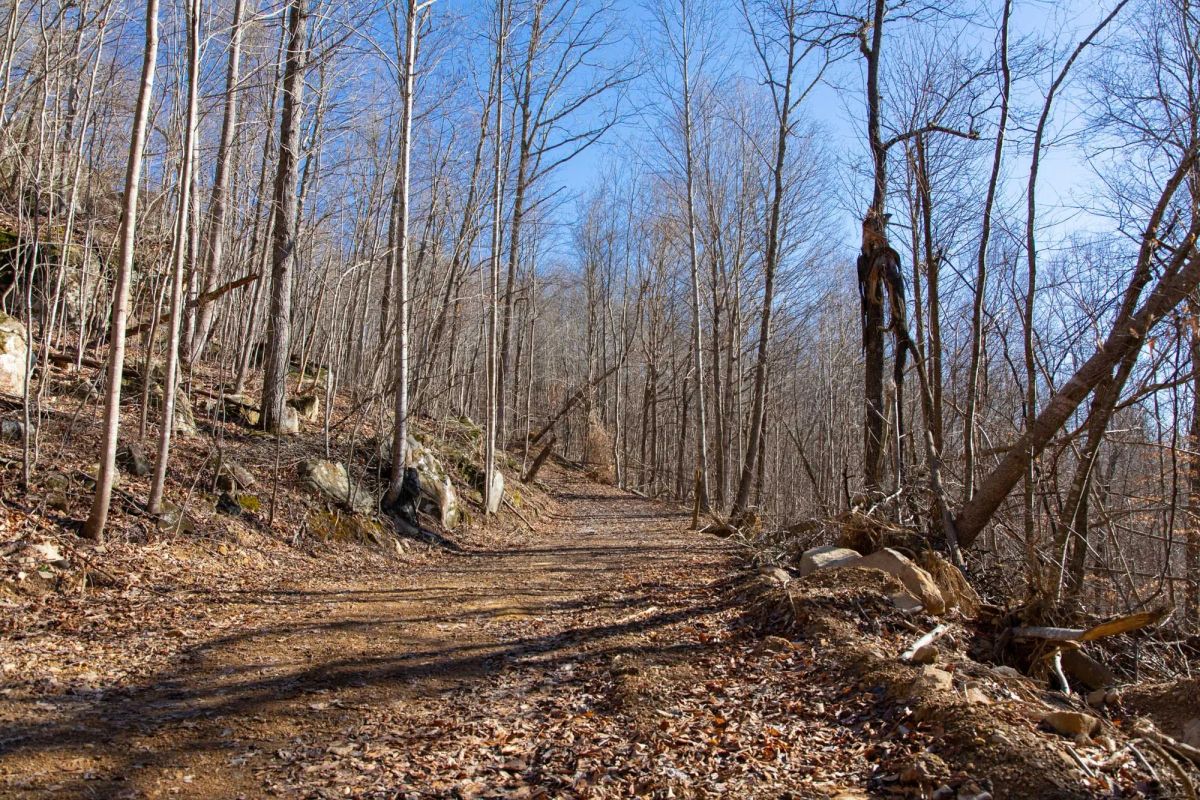 Decorative background for Blackstone Mountain Phase I Tract 48 image 5