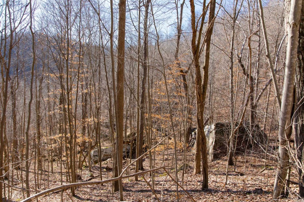 Decorative background for Blackstone Mountain Phase I Tract 48 image 7