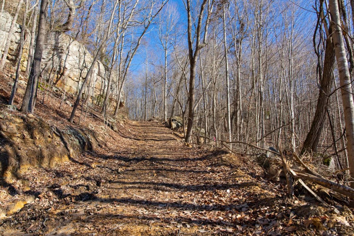 Decorative background for Blackstone Mountain Phase I Tract 48 image 8