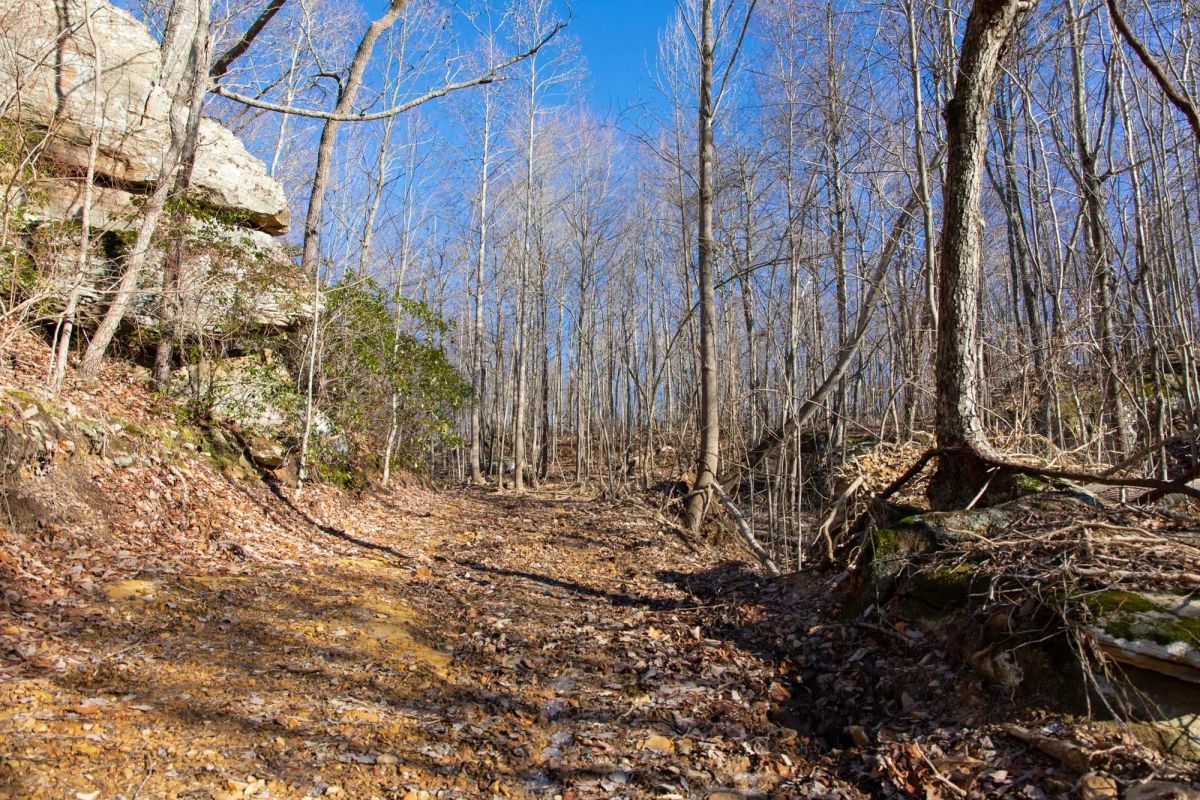 Decorative background for Blackstone Mountain Phase I Tract 48 image 10