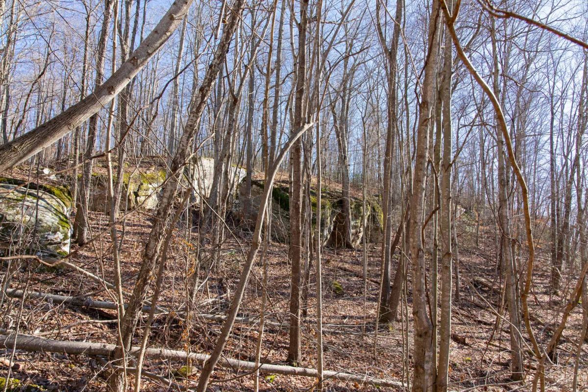 Decorative background for Blackstone Mountain Phase I Tract 48 image 11