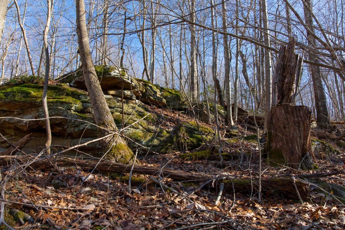Decorative background for Blackstone Mountain Phase I Tract 48 image 14